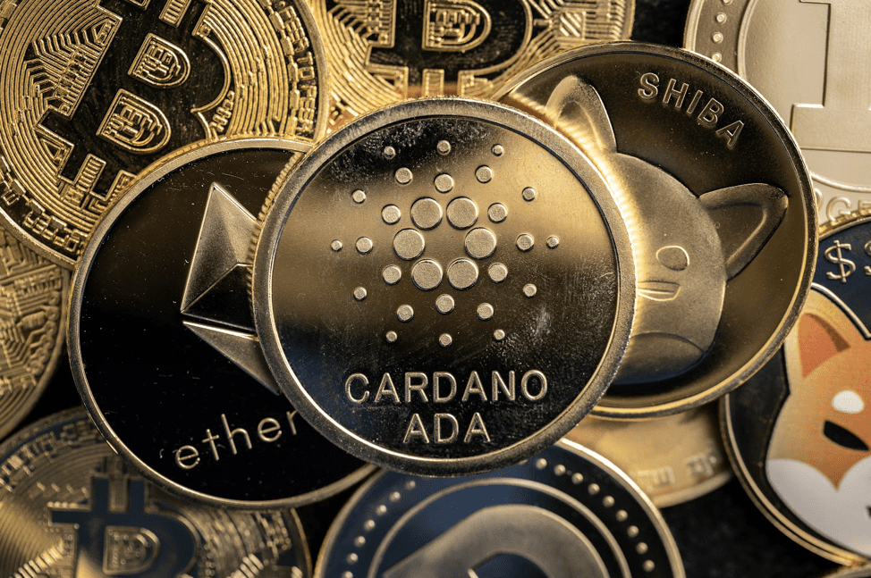 DigiToads Defies Crypto Sell Gravity: TOADS Holds Firm As ADA and BNB Dump