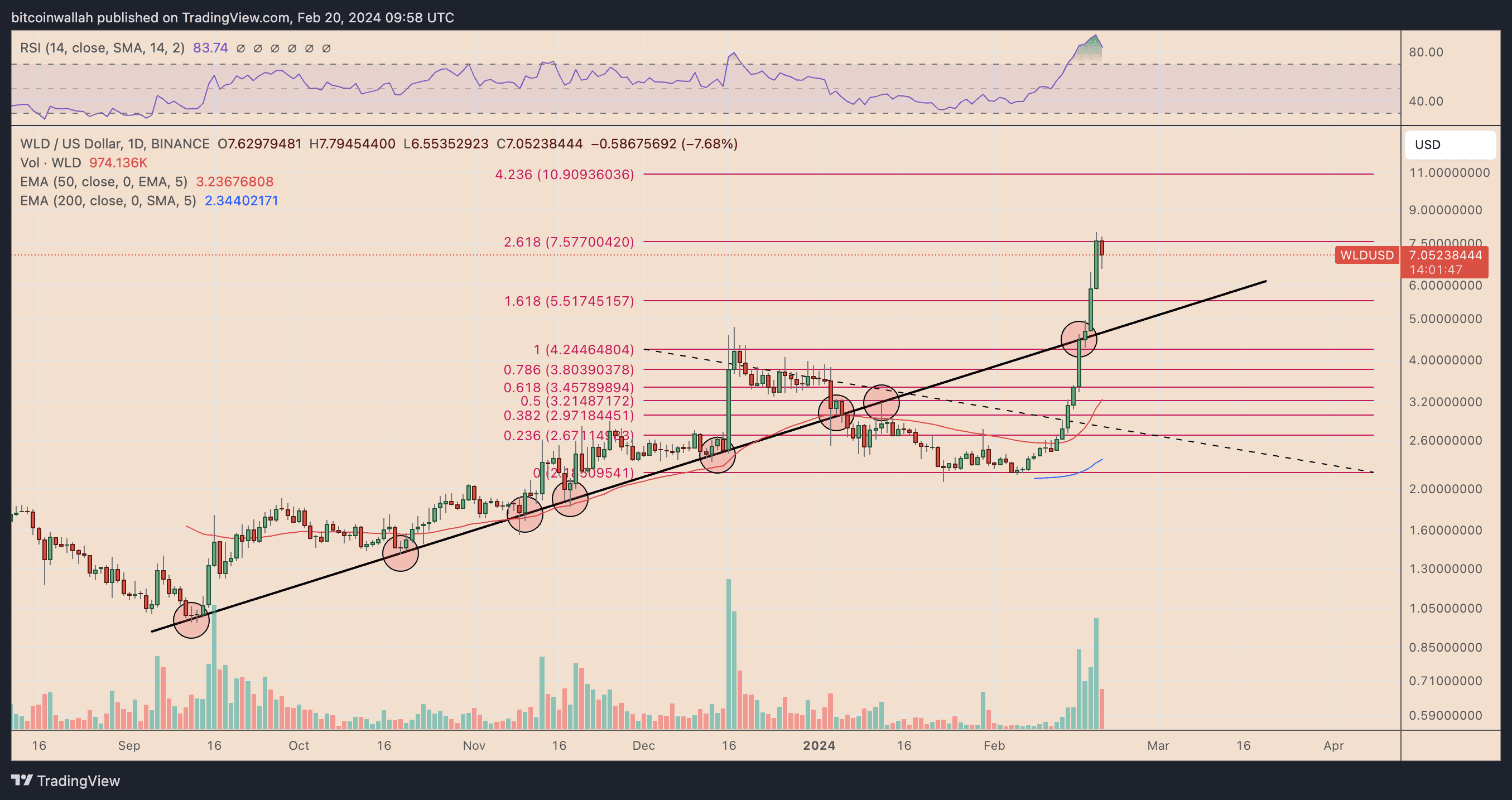 Worldcoin daily price chart