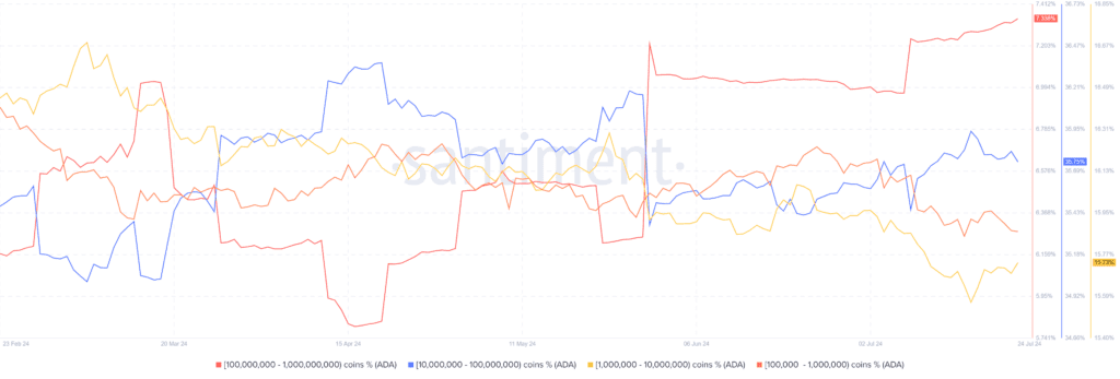 why is cardano price up
