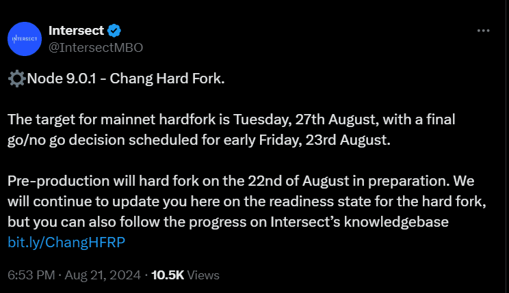 why is cardano price up