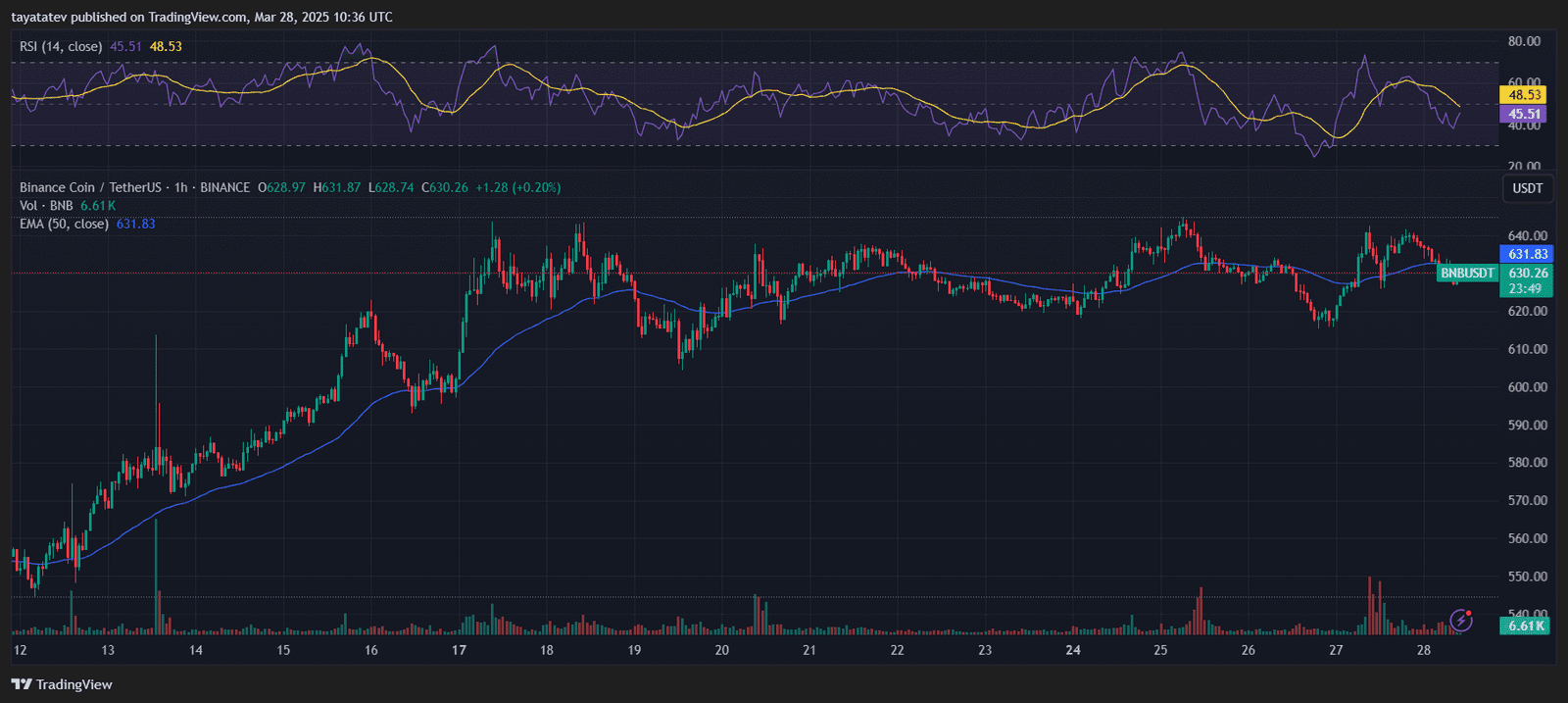 BNB Perpetual Futures Price Movement on Coinbase - March 28, 2025. Source: TradingView