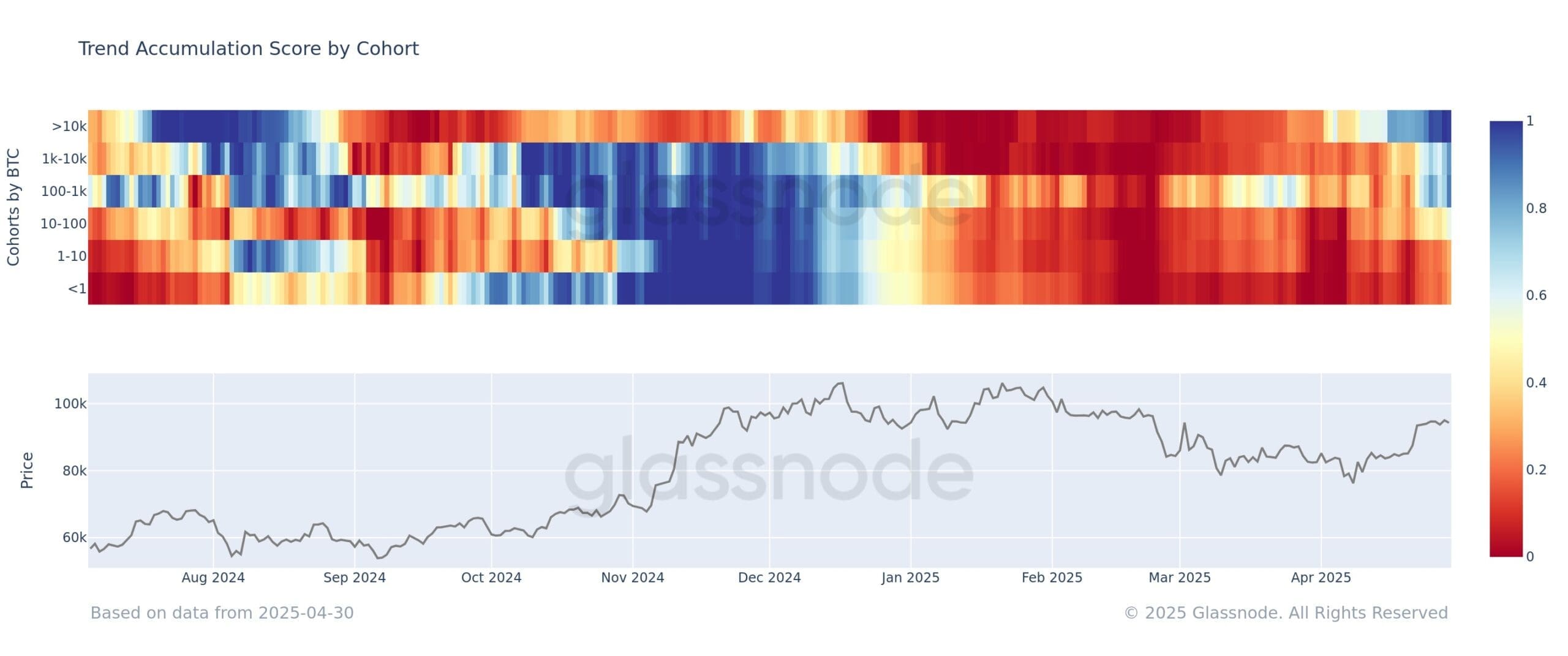 Bitcoin Trend Accumulation by Holder Cohort 2025. Source: Glassnode