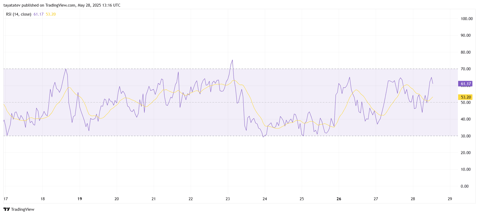 Polkadot RSI Momentum ShiftSource: TradingView.com