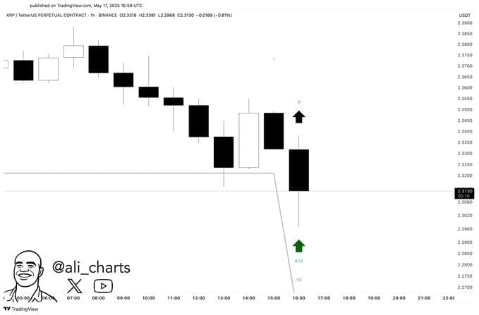 XRPUSDT 1H Chart. Source: Ali Martinez on TradingView.com