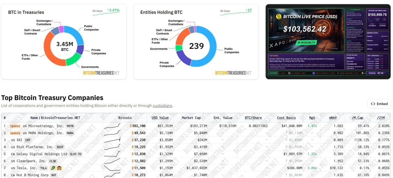 Top Bitcoin Treasury Companies. Source: BitcoinTreasuries.NET