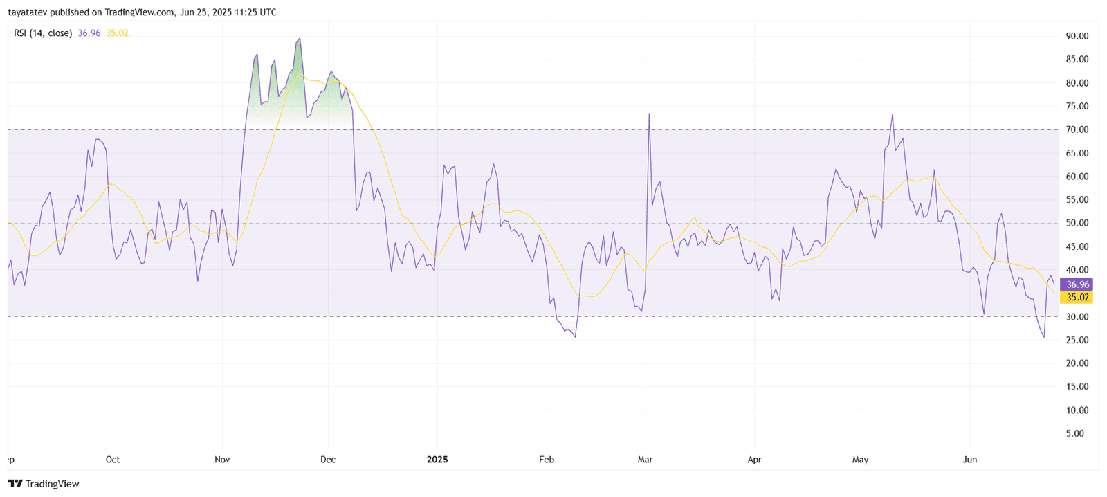 Cardano RSI Analysis. Source: TradingView