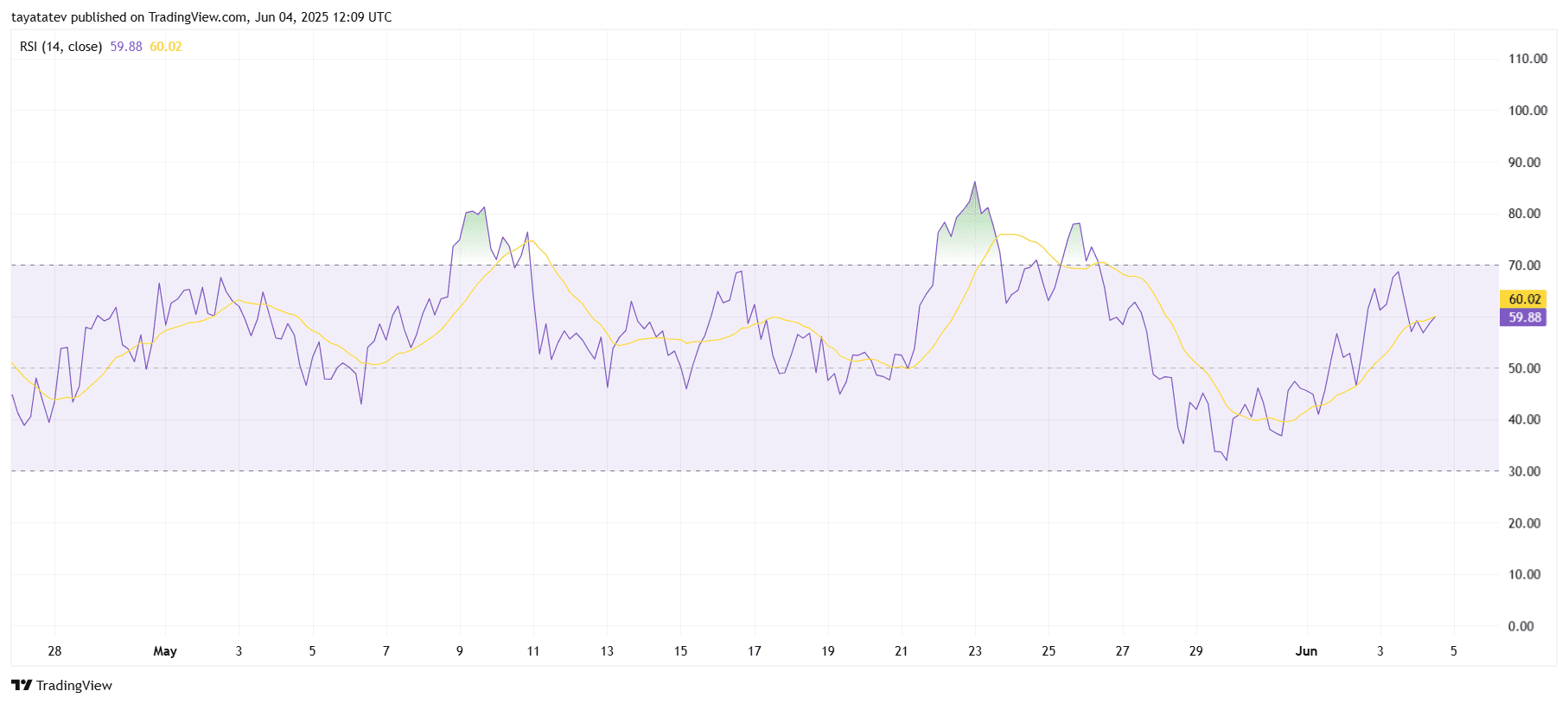 RSI Indicator Chart. Source: TradingView.com